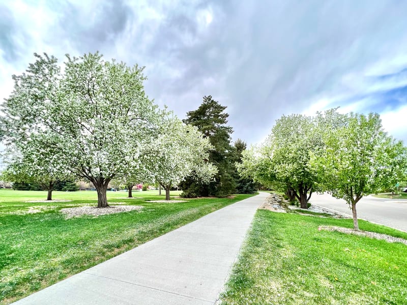 Pinecrest Village neighborhood homes